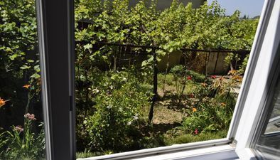 Дом природы_7